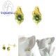 ต่างหูเพอริดอท-ต่างหูเงิน-เพอริดอทแท้-เงินแท้925-ออกแบบพิเศษ-finejewelthai-E1005pd-rd ต่างหูเพอริดอท-ต่างหูเงิน-เพอริดอทแท้-เงินแท้925-ออกแบบพิเศษ-finejewelthai-E1005pd-rd
