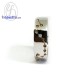 แหวนราศี-ราศีกุมภ์-แหวนเพชร-แหวนเงินแท้-Finejewelthai-R1276cz_02 แหวนราศี-ราศีกุมภ์-แหวนเพชร-แหวนเงินแท้-Finejewelthai-R1276cz_02