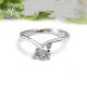 แหวนทองคำขาว-แหวนเพชร-แหวนหมั้น-แหวนแต่งงาน-Finejewelthai - R1185DWG
